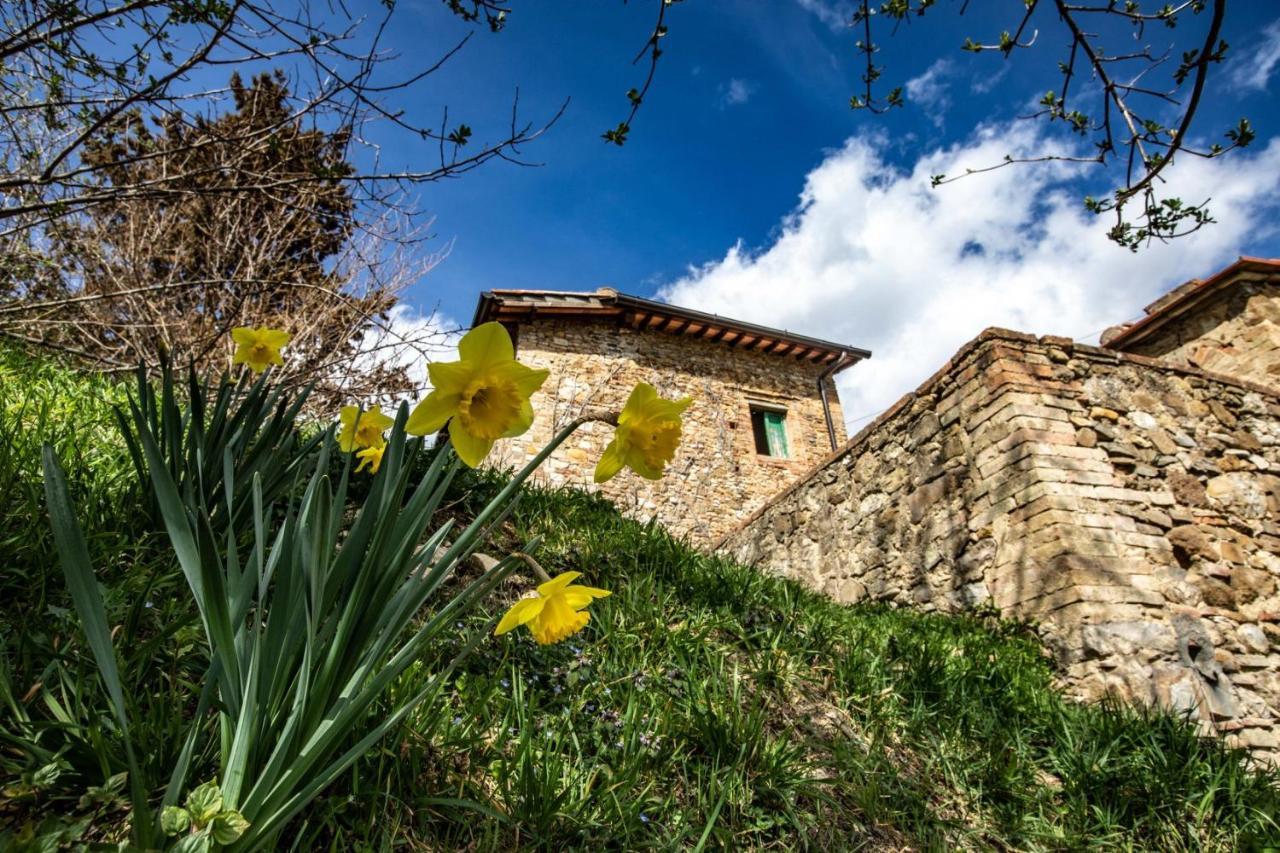 Hotel Campora House Tavarnelle Val di Pesa Zewnętrze zdjęcie