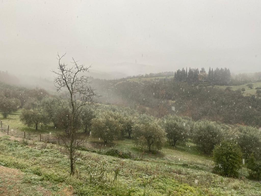 Hotel Campora House Tavarnelle Val di Pesa Zewnętrze zdjęcie