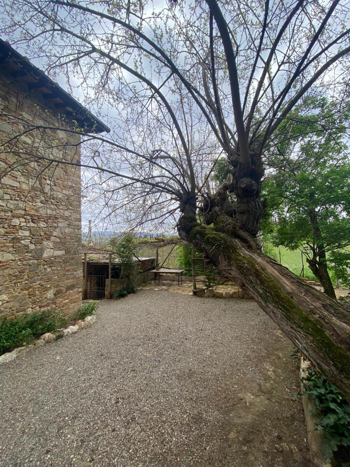 Hotel Campora House Tavarnelle Val di Pesa Zewnętrze zdjęcie